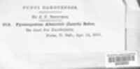Image Associated With the Occurence